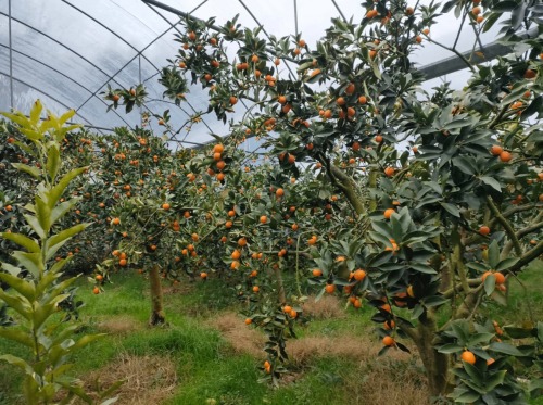 1760510490179209.jpg 1760510490179209.jpg