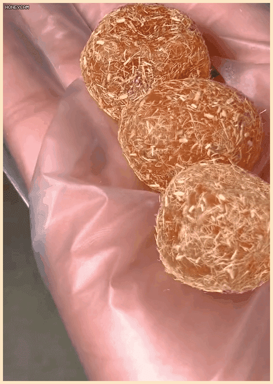 1760510952280147.gif 1760510952280147.gif